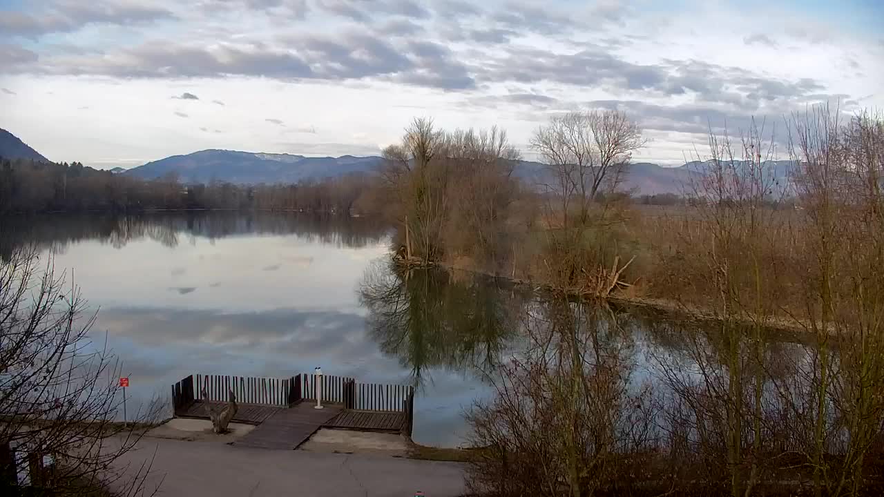 Webcam Ribnik Vrbje – Žalec