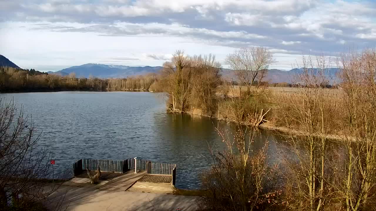 Webcam Ribnik Vrbje – Žalec