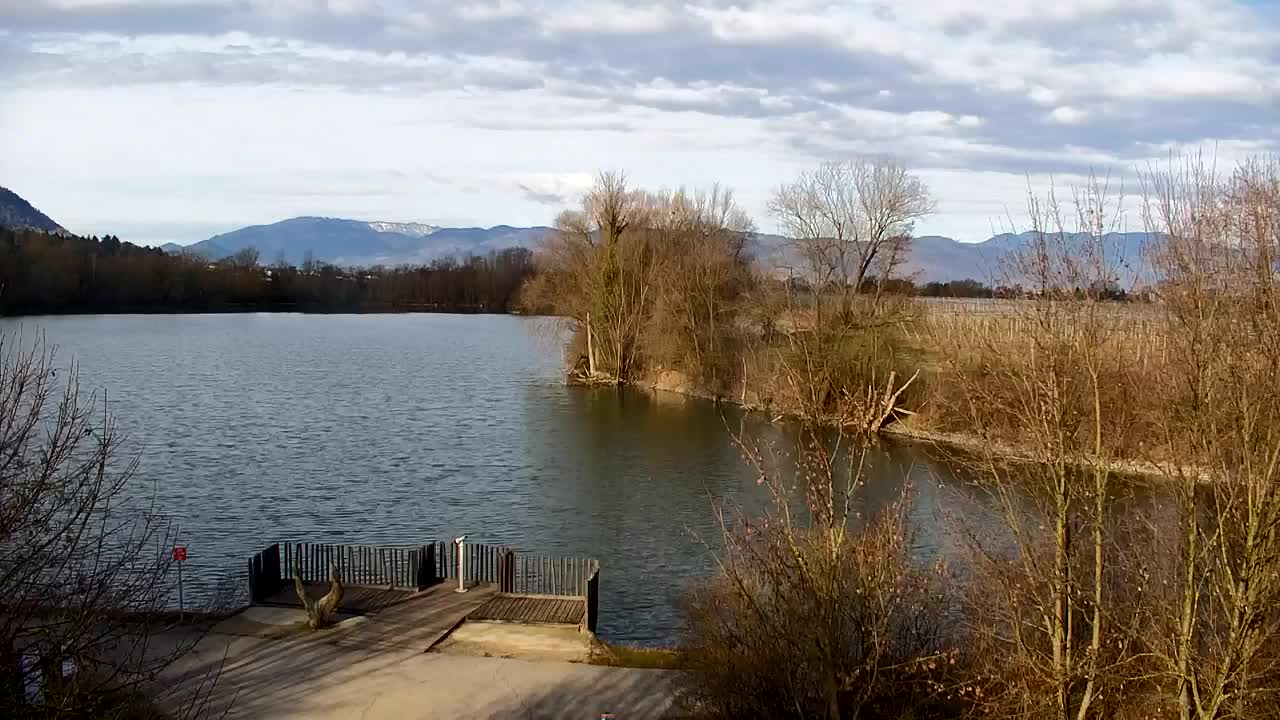 Webcam Ribnik Vrbje – Žalec