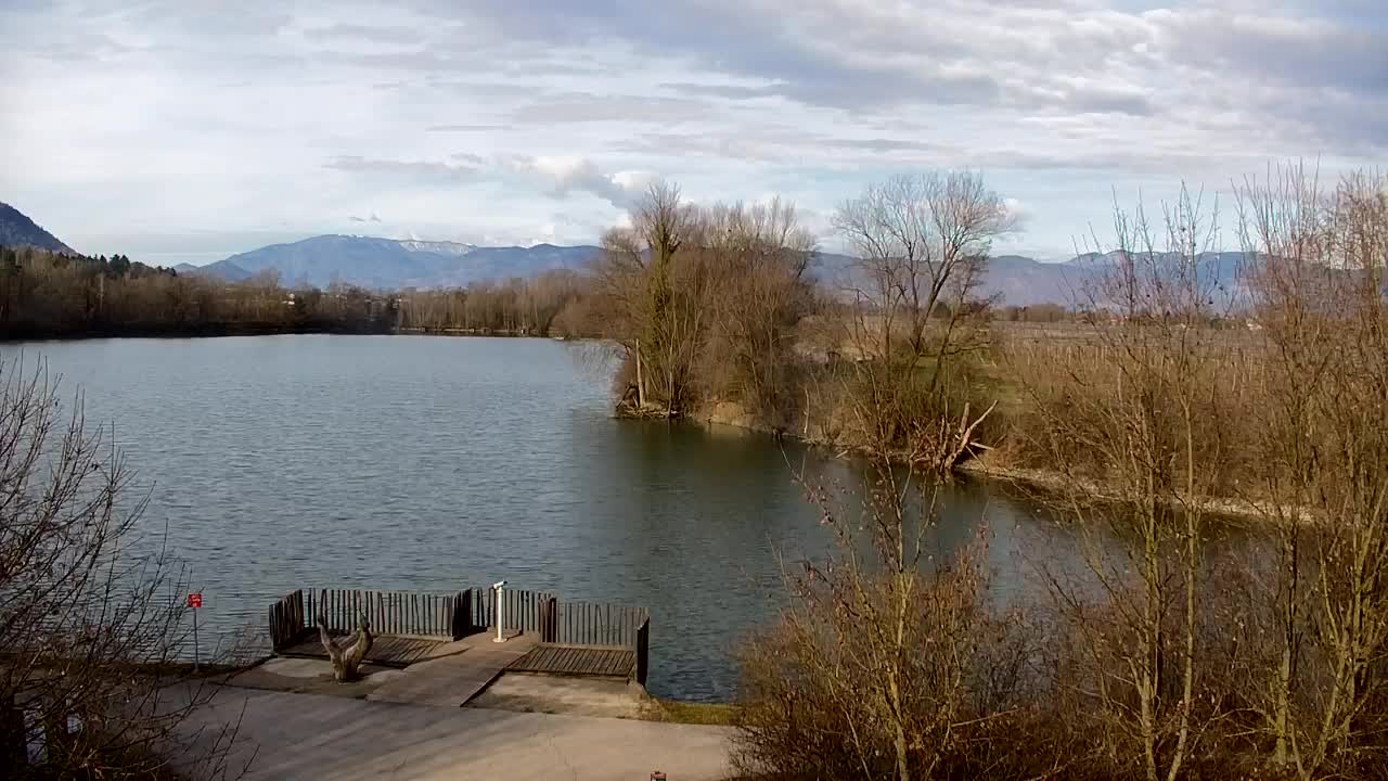 Webcam Ribnik Vrbje – Žalec