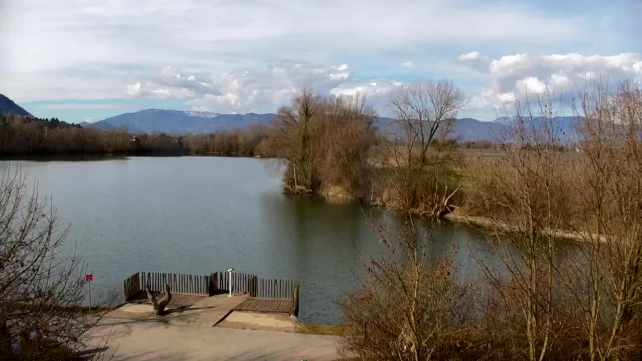 Webcam Ribnik Vrbje – Žalec