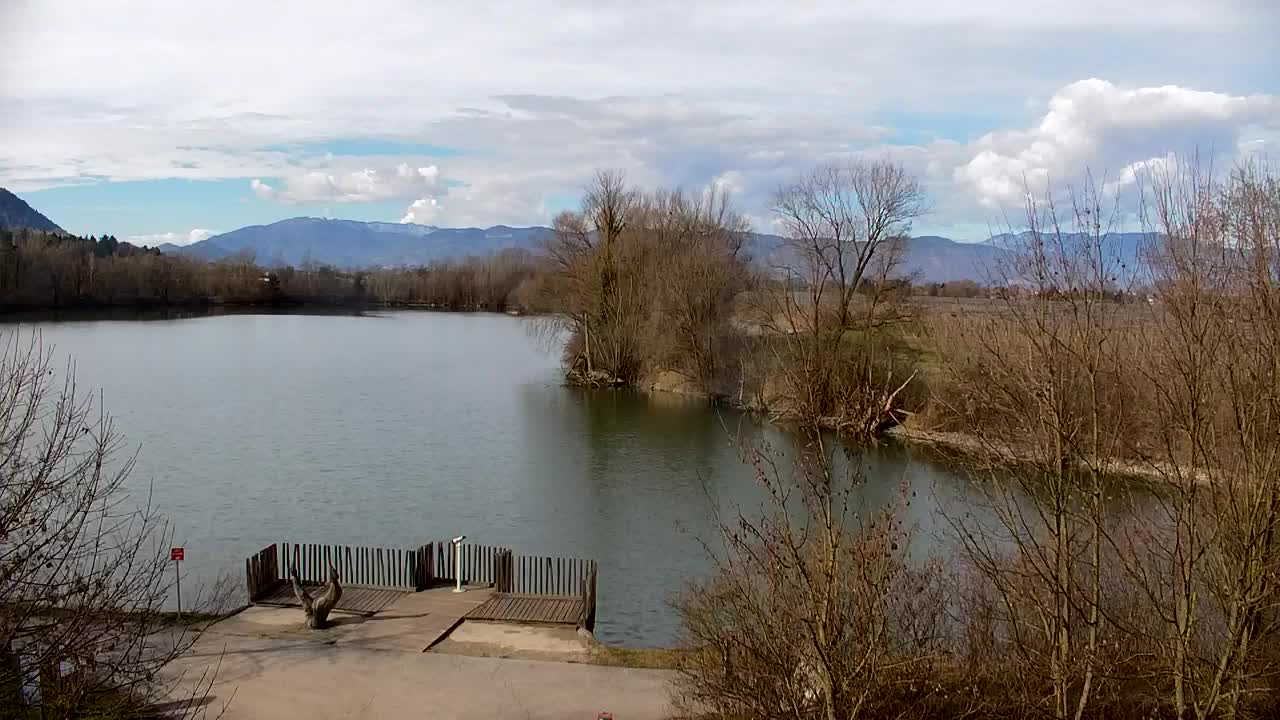 Webcam Ribnik Vrbje – Žalec