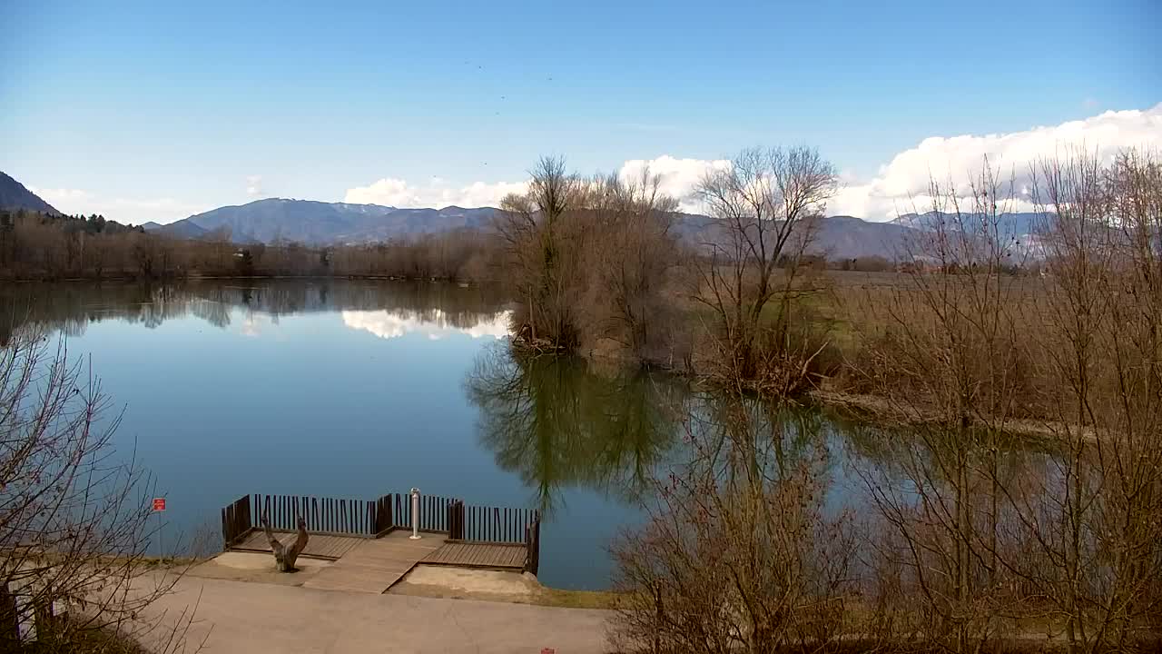 Webcam Ribnik Vrbje – Žalec