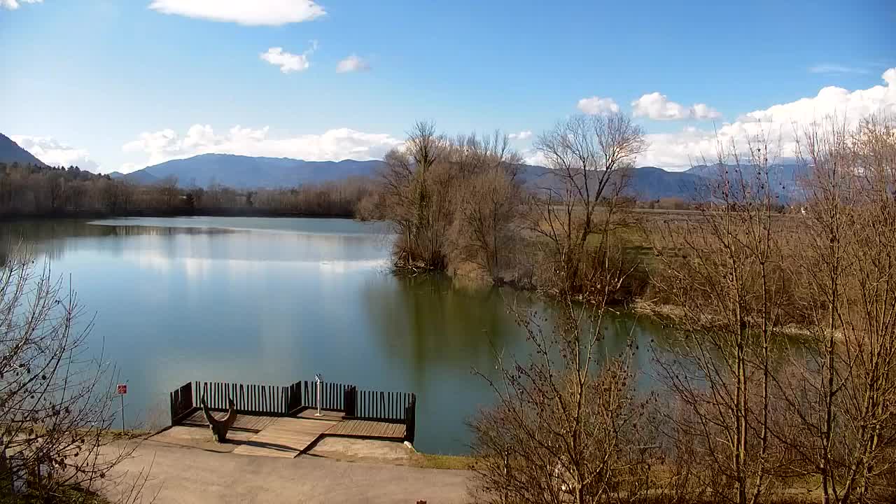 Spletna kamera Ribnik Vrbje – Žalec