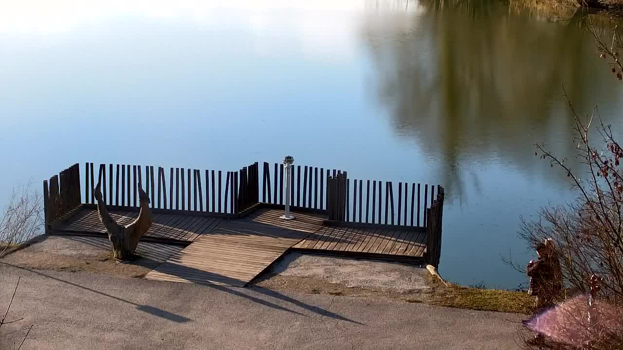 Web kamera Ribnik Vrbje – Žalec