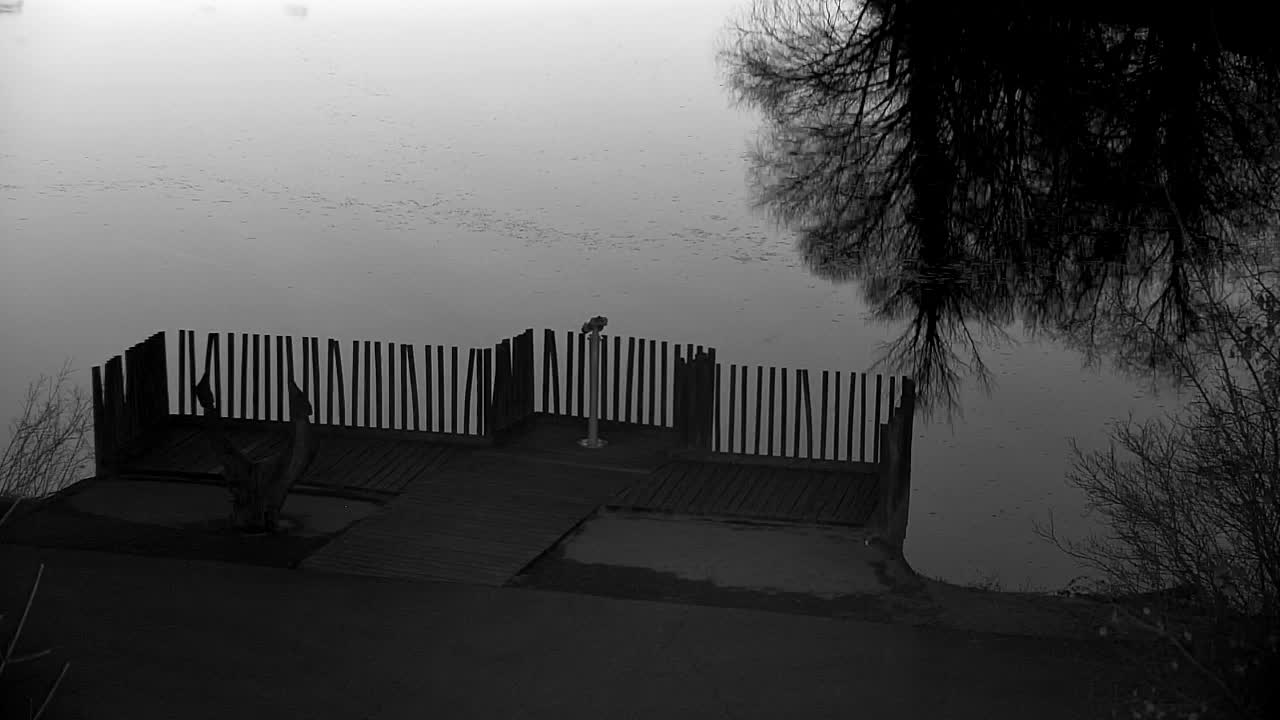 Webcam Ribnik Vrbje – Žalec