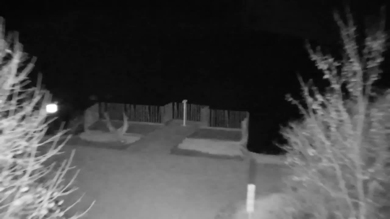 Webcam Ribnik Vrbje – Žalec