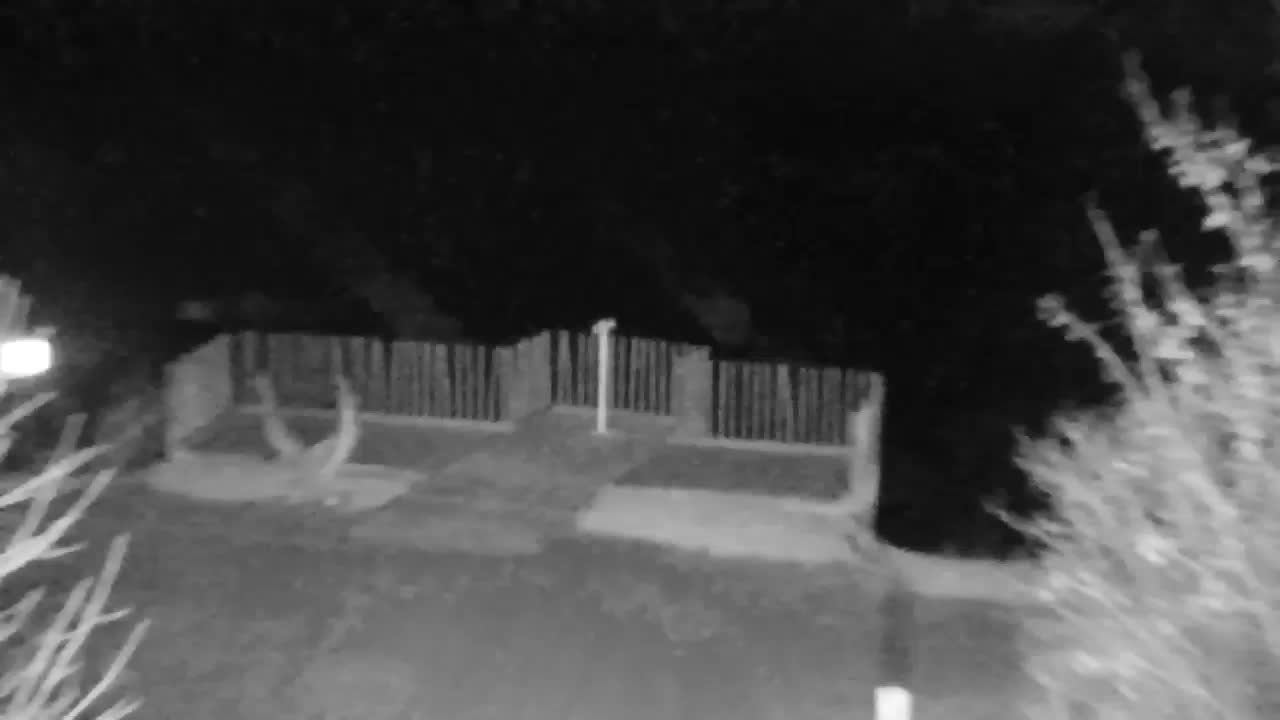 Webcam Ribnik Vrbje – Žalec