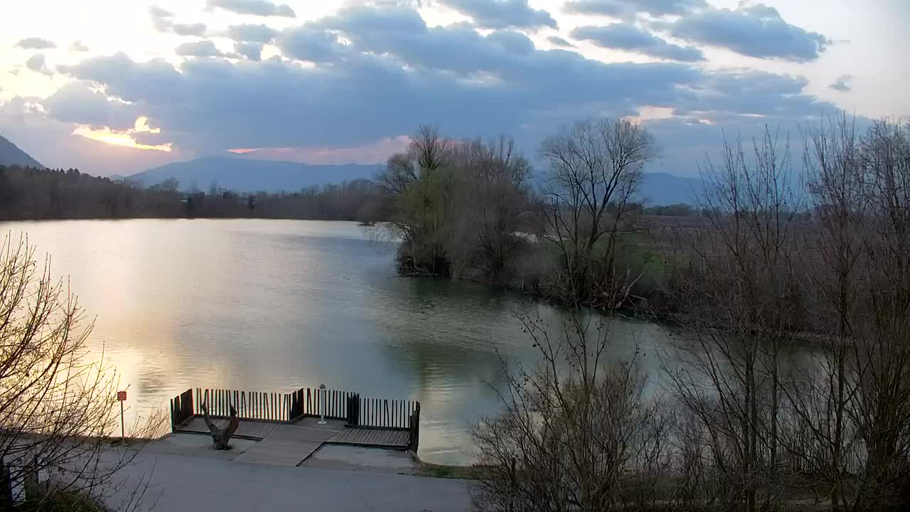 Webcam Ribnik Vrbje – Žalec