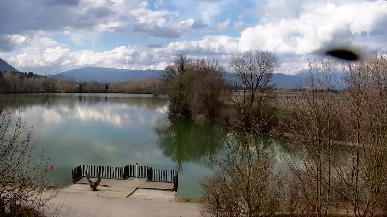 Webcam Ribnik Vrbje – Žalec