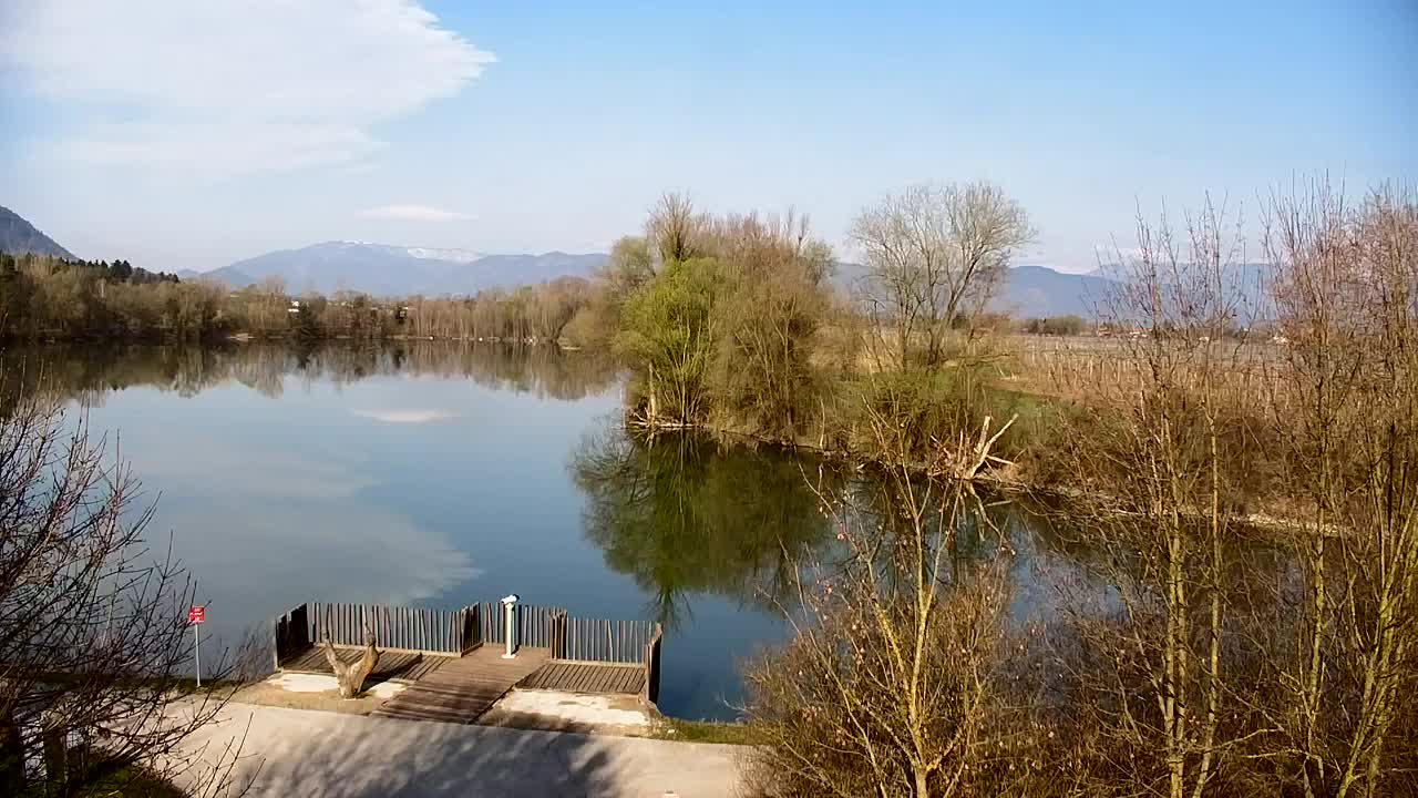 Spletna kamera Ribnik Vrbje – Žalec