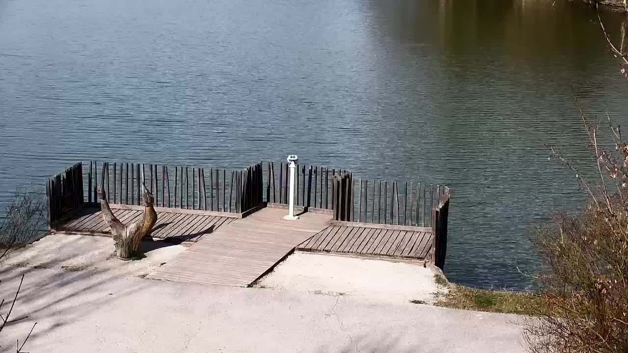 Webcam Ribnik Vrbje – Žalec