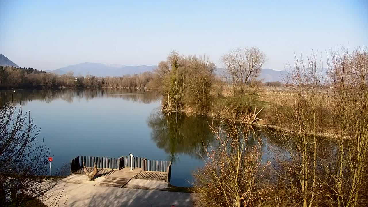 Webcam Ribnik Vrbje – Žalec