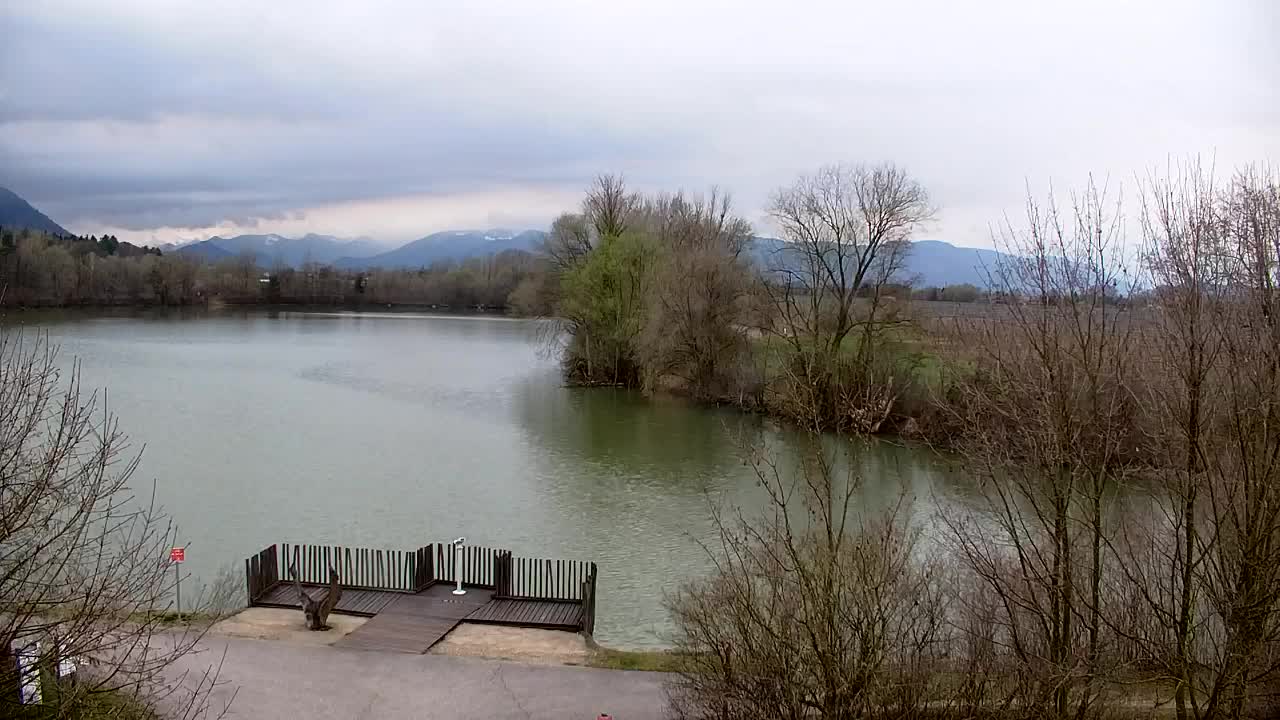 Webcam Ribnik Vrbje – Žalec