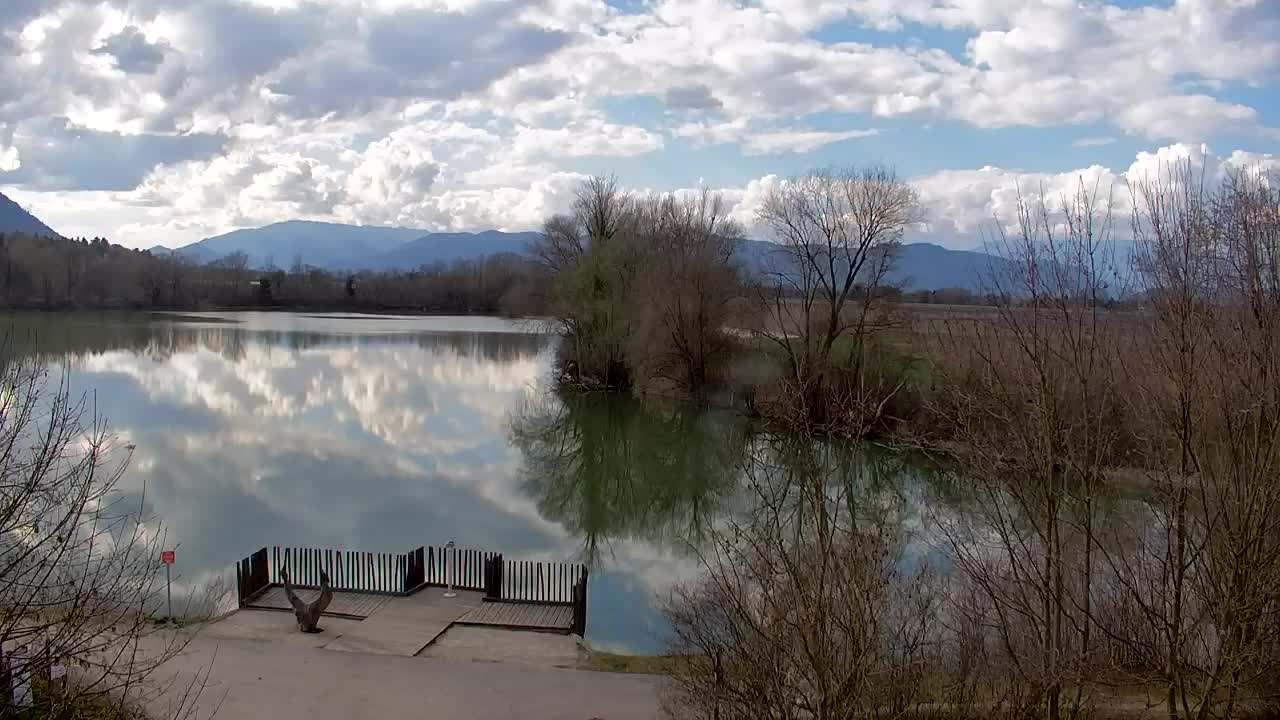 Webcam Ribnik Vrbje – Žalec