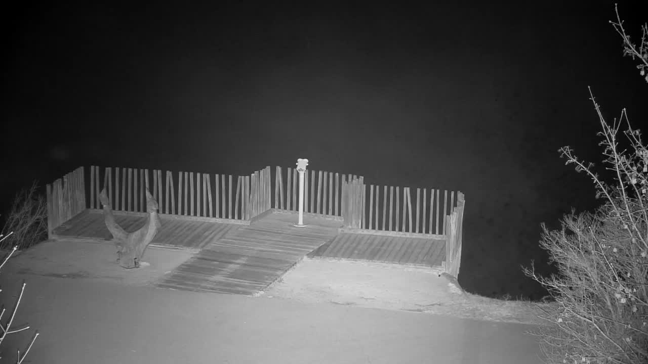 Webcam Ribnik Vrbje – Žalec