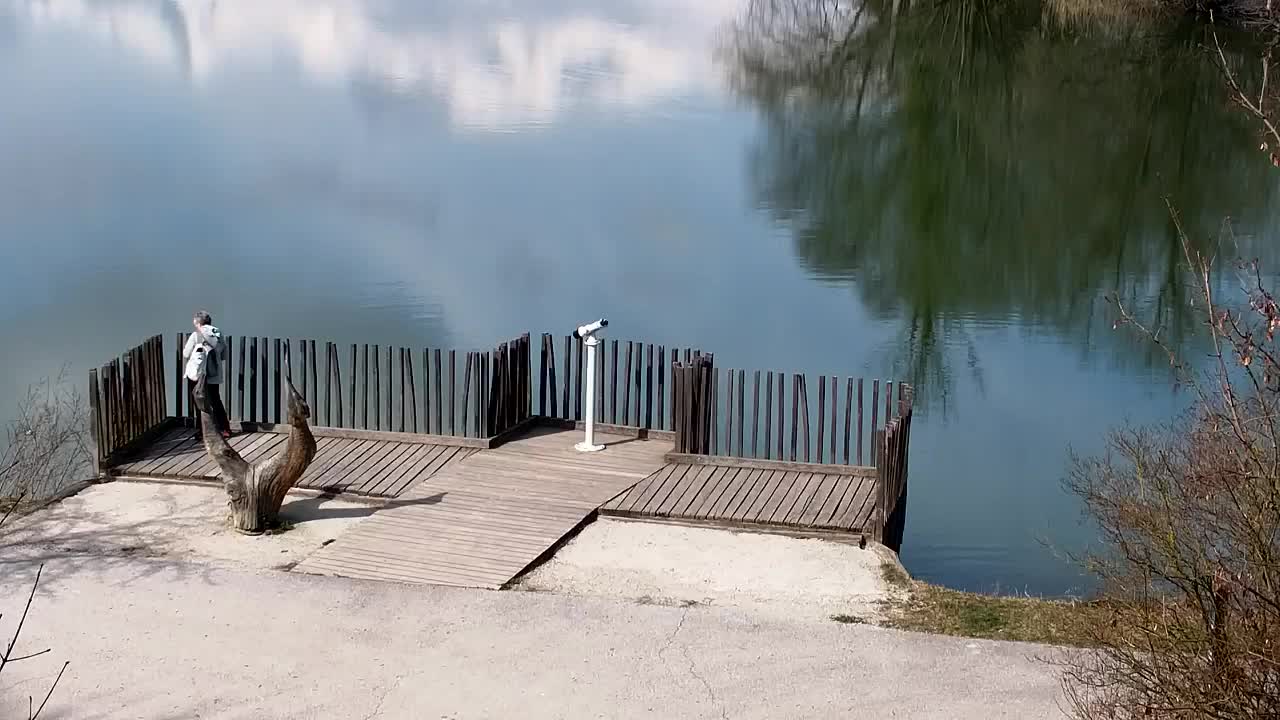 Webcam Ribnik Vrbje – Žalec