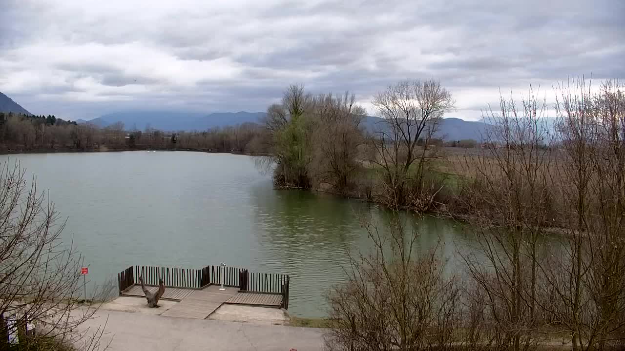 Webcam Ribnik Vrbje – Žalec