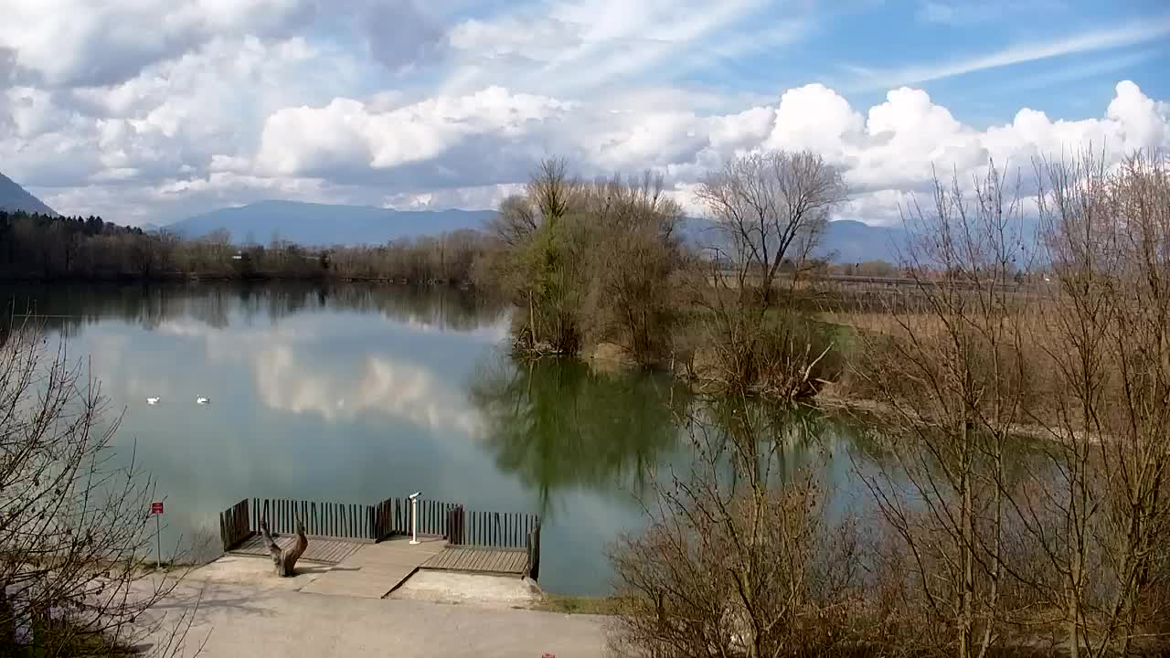 Webcam Ribnik Vrbje – Žalec