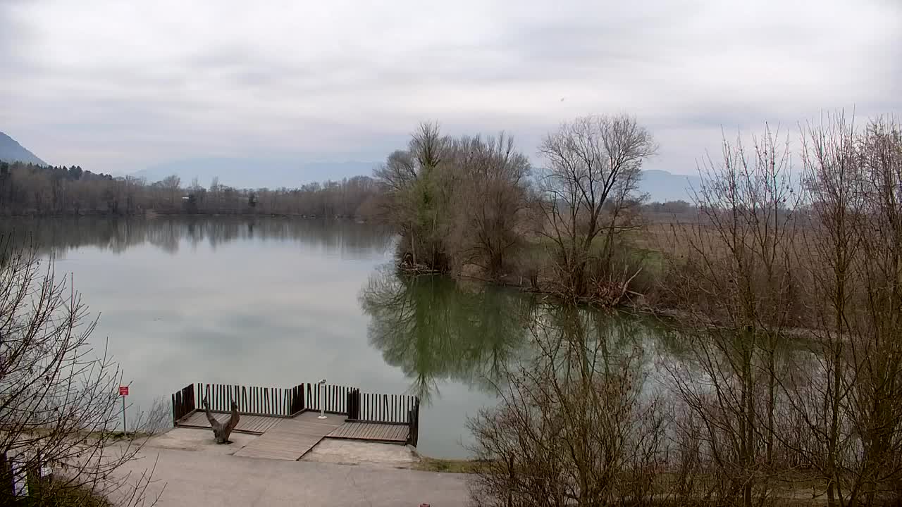 Webcam Ribnik Vrbje – Žalec