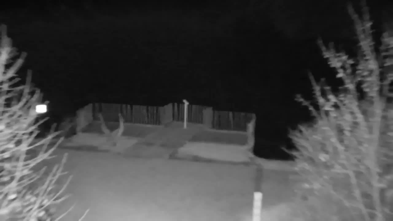 Webcam Ribnik Vrbje – Žalec