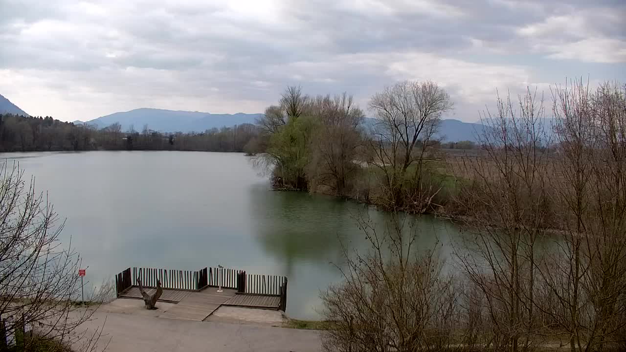 Webcam Ribnik Vrbje – Žalec