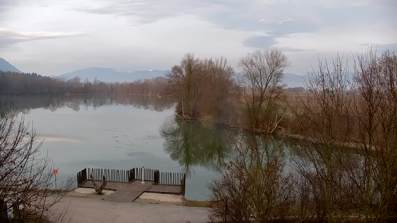 Webcam Ribnik Vrbje – Žalec