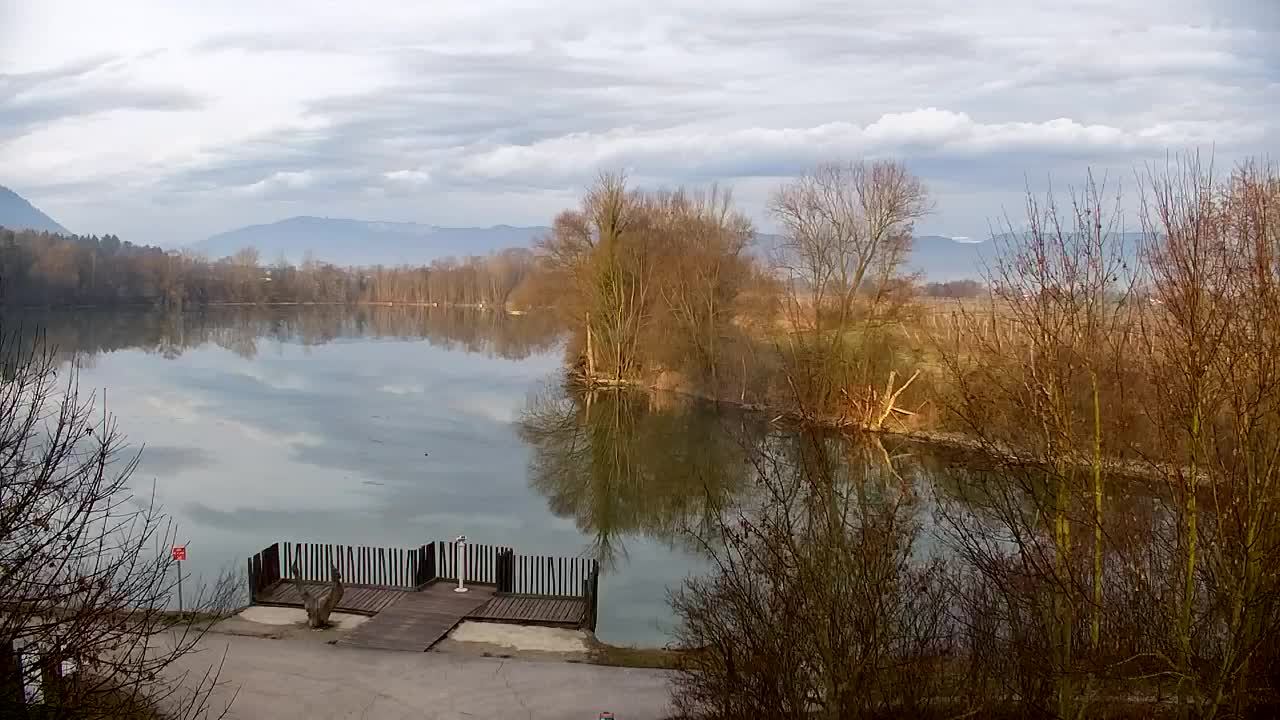 Webcam Ribnik Vrbje – Žalec