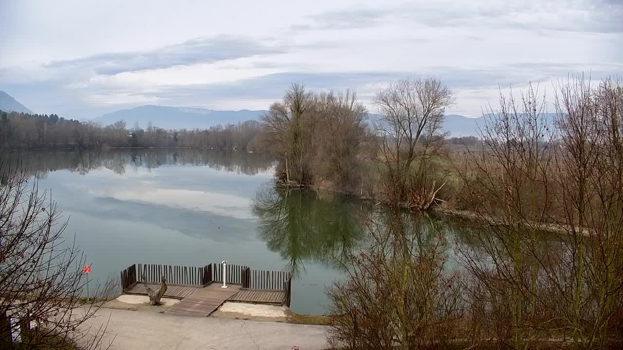 Webcam Ribnik Vrbje – Žalec