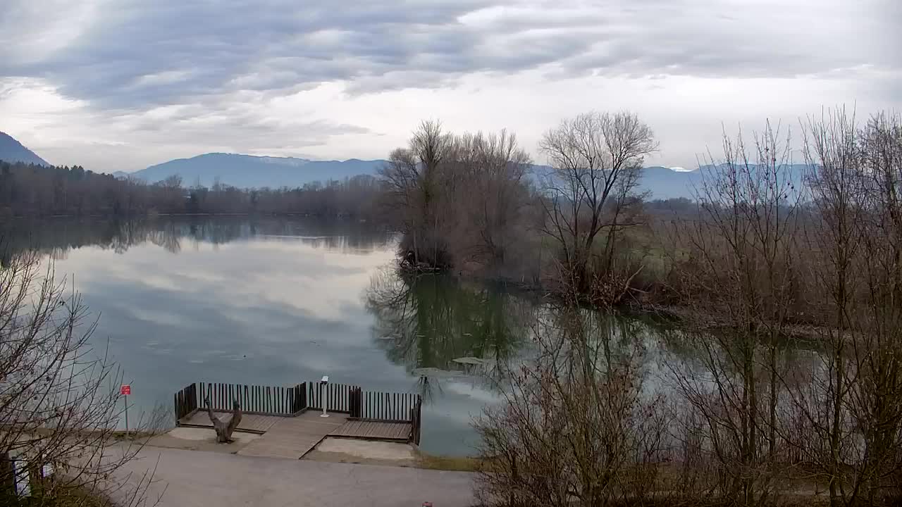 Webcam Ribnik Vrbje – Žalec