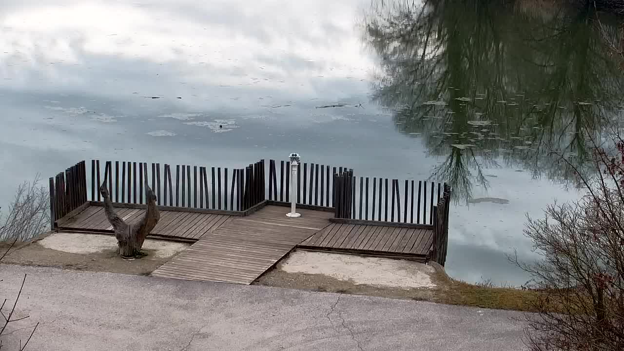 Webcam Ribnik Vrbje – Žalec