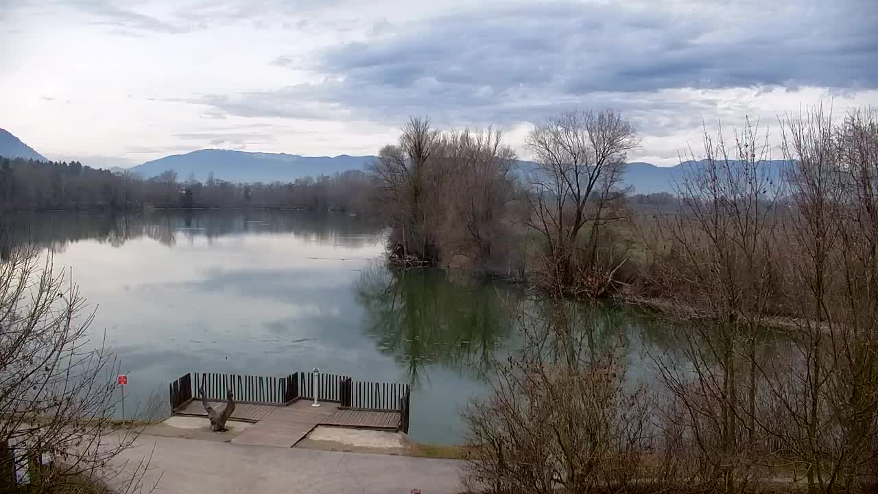 Webcam Ribnik Vrbje – Žalec