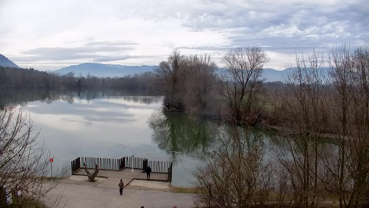 Spletna kamera Ribnik Vrbje – Žalec