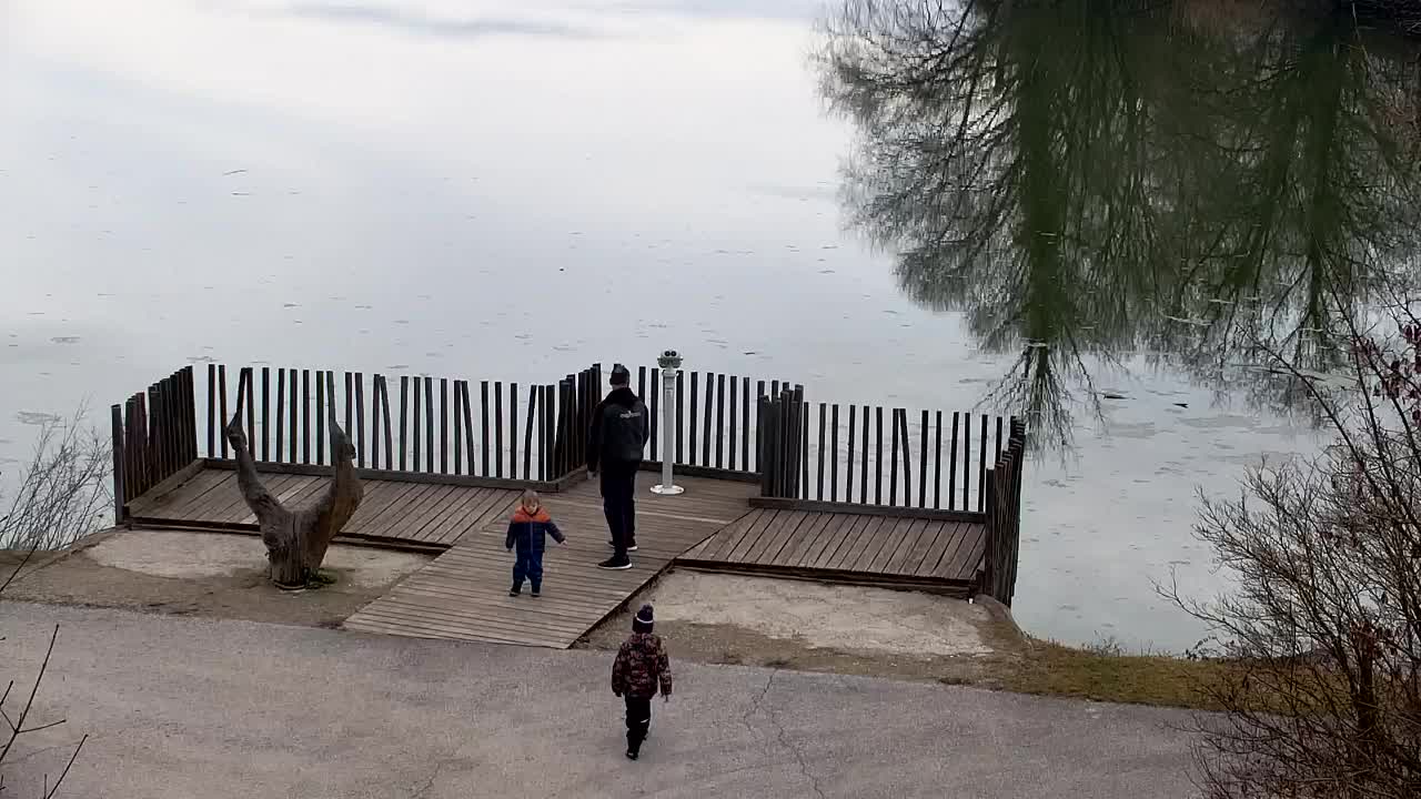 Webcam Ribnik Vrbje – Žalec