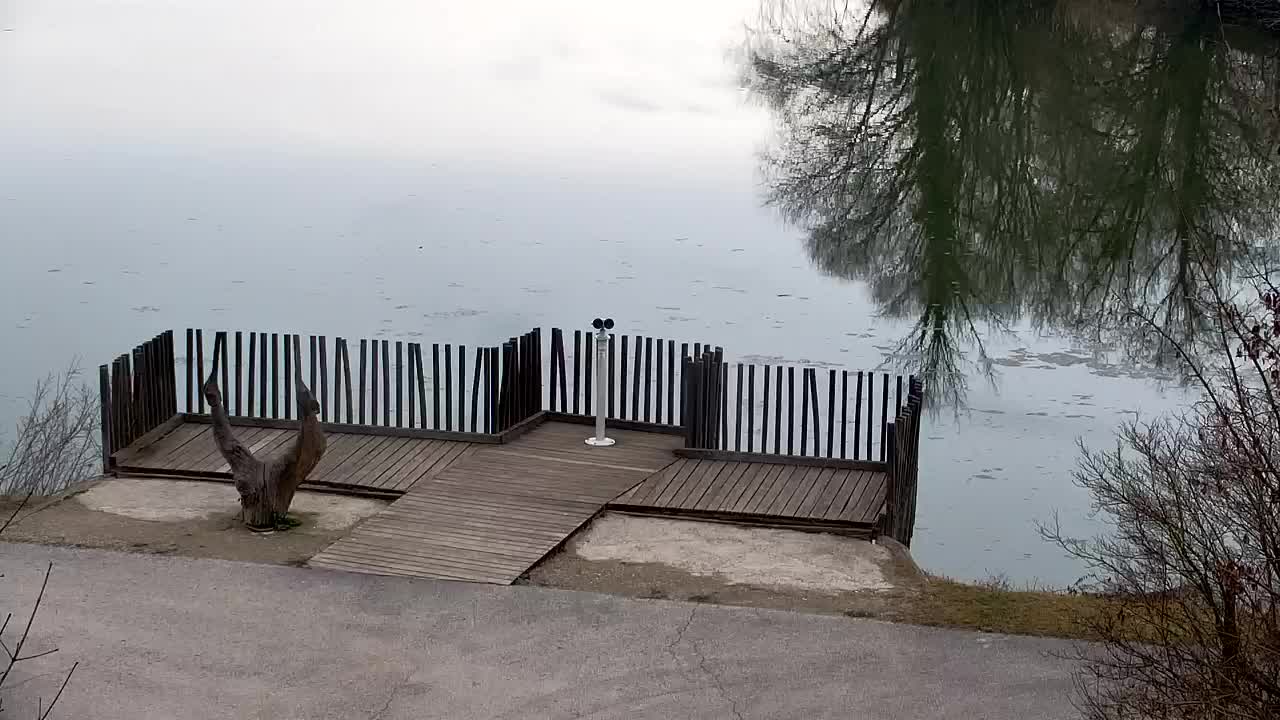 Webcam Ribnik Vrbje – Žalec