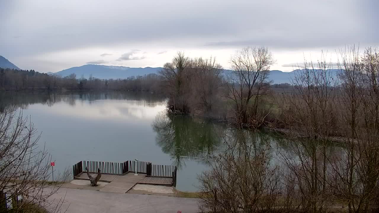 Webcam Ribnik Vrbje – Žalec