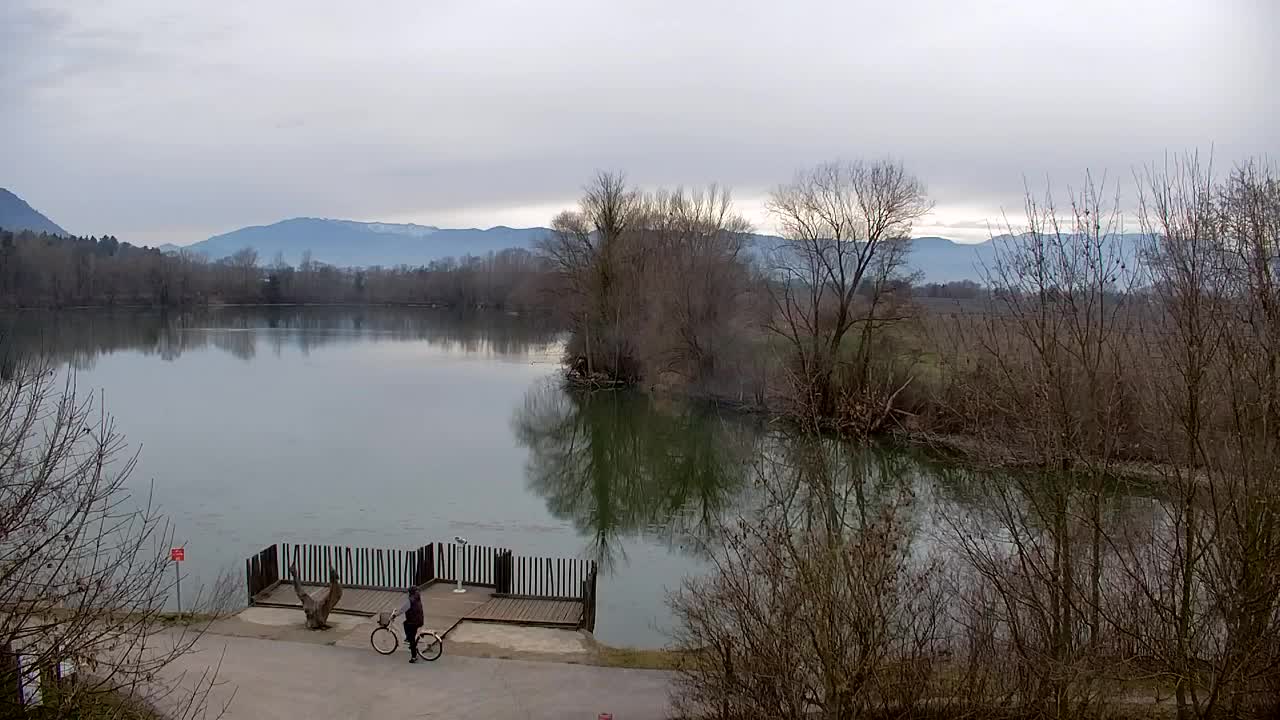 Webcam Ribnik Vrbje – Žalec