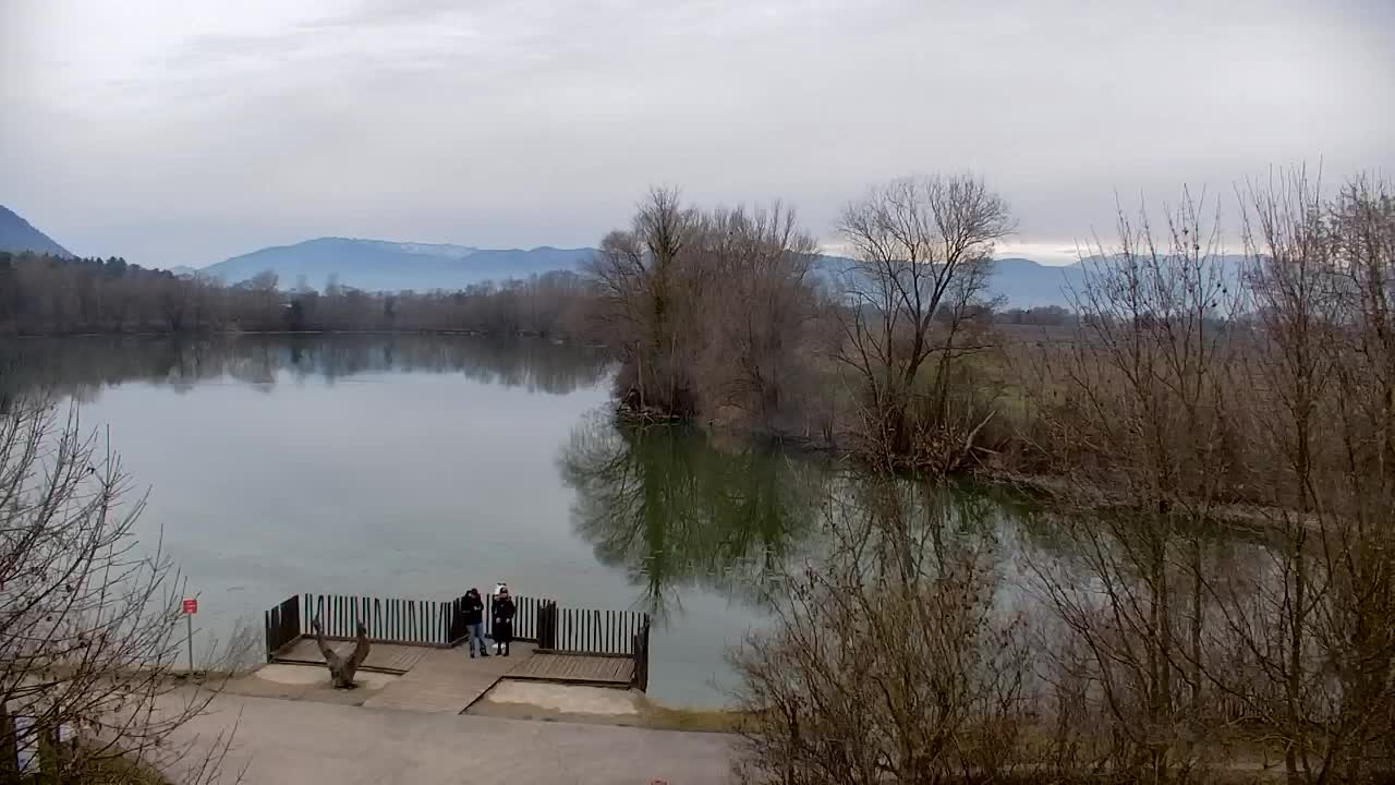 Webcam Ribnik Vrbje – Žalec