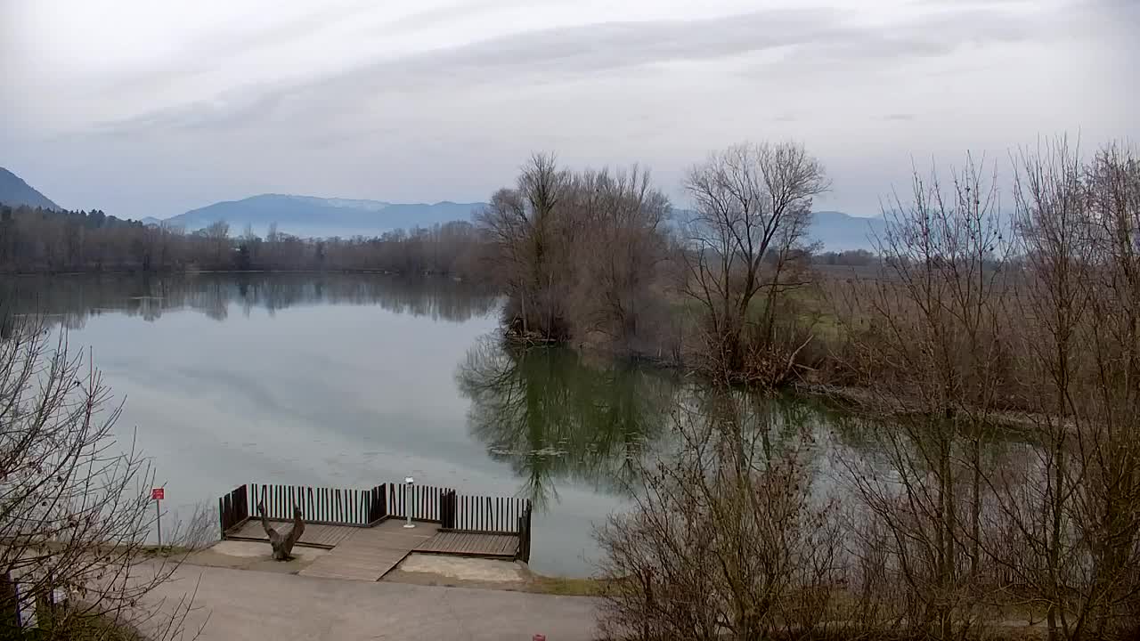 Webcam Ribnik Vrbje – Žalec