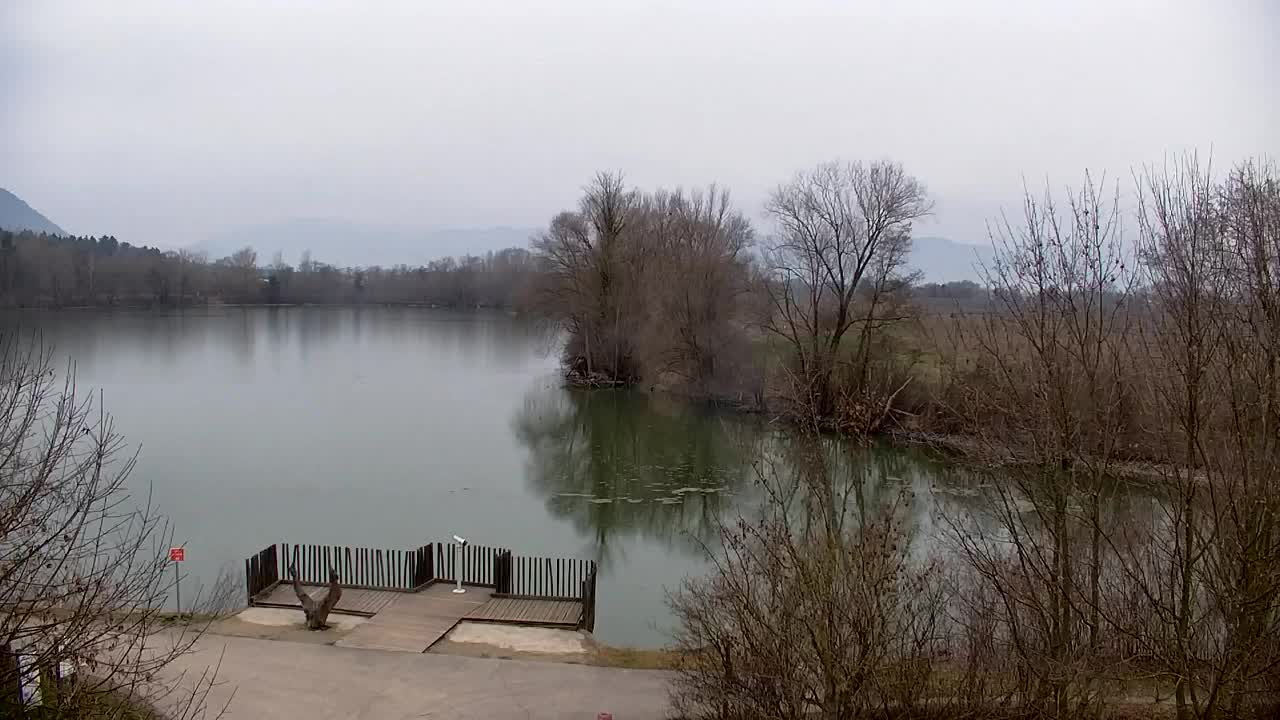 Webcam Ribnik Vrbje – Žalec