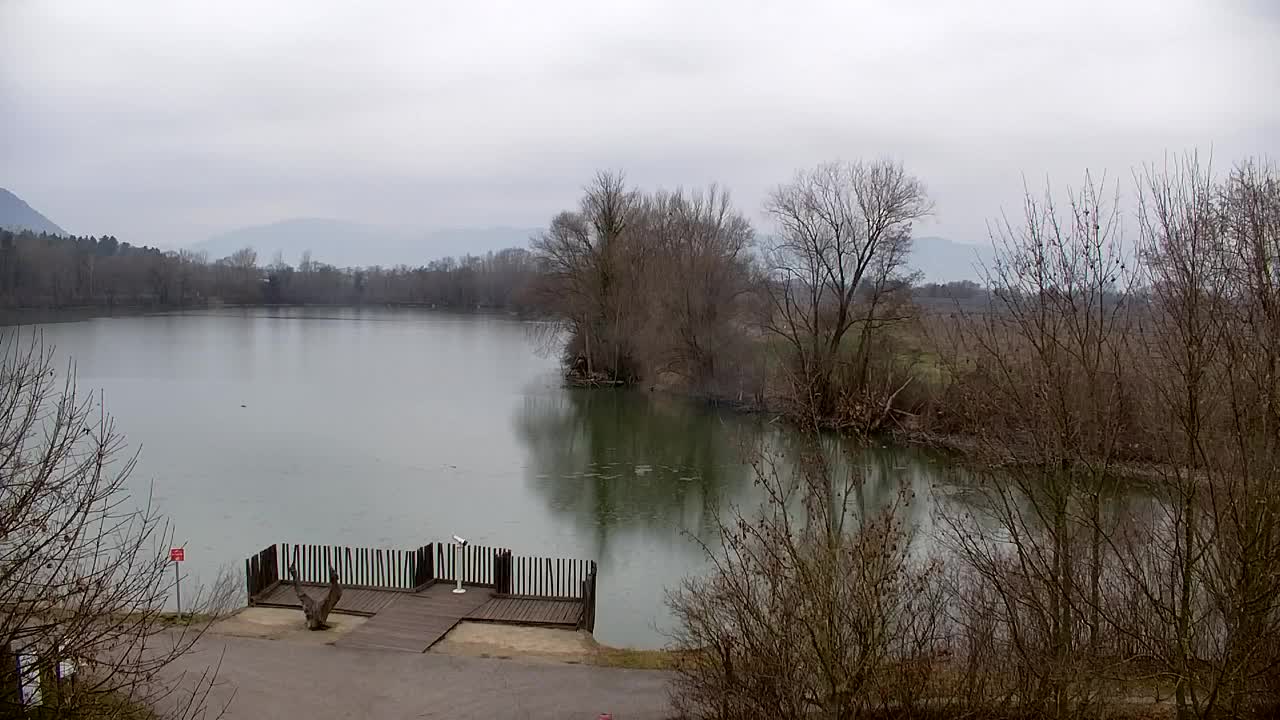 Webcam Ribnik Vrbje – Žalec