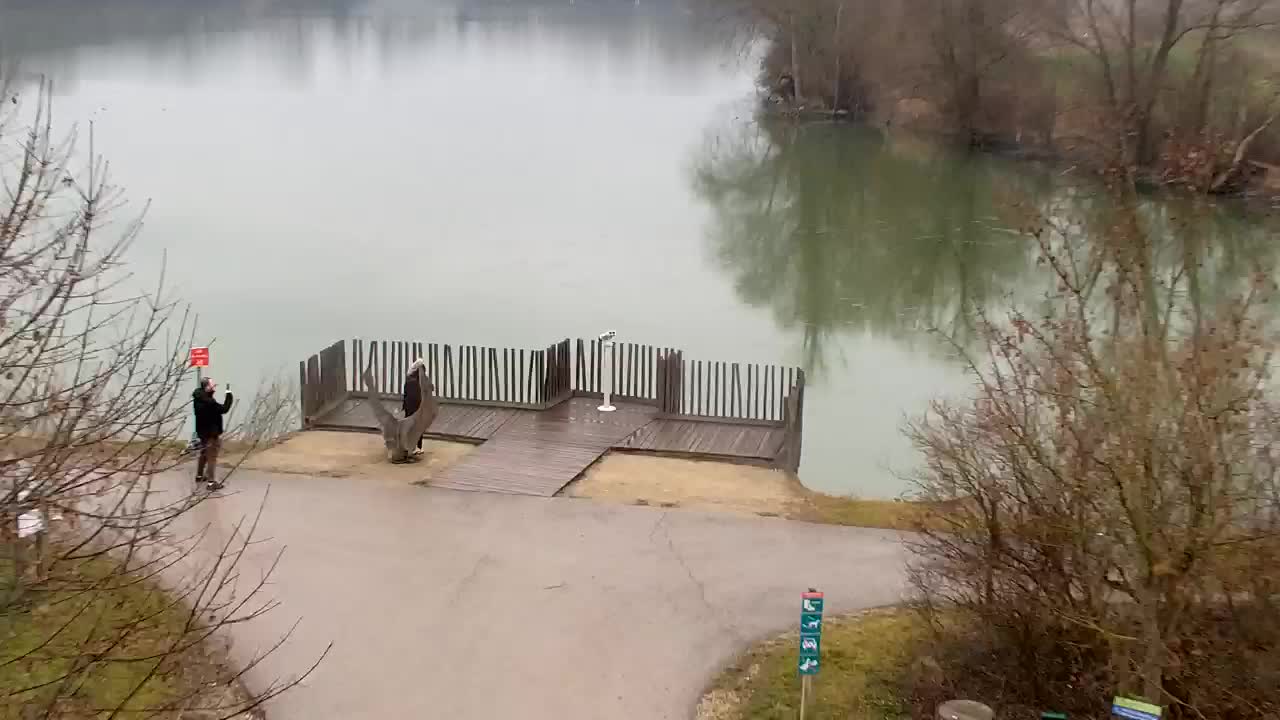 Webcam Ribnik Vrbje – Žalec