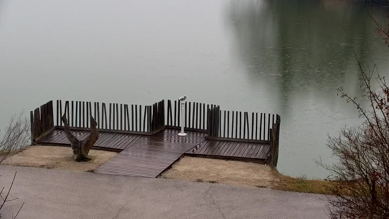 Webcam Ribnik Vrbje – Žalec