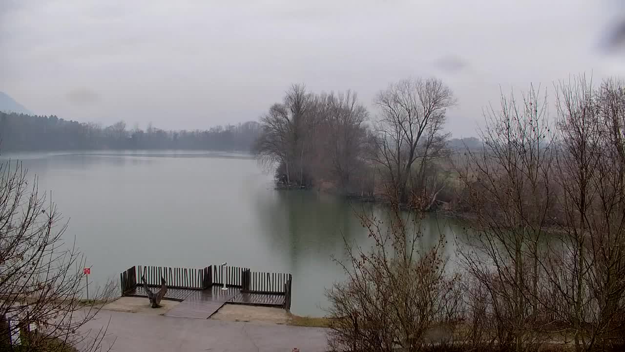 Webcam Ribnik Vrbje – Žalec