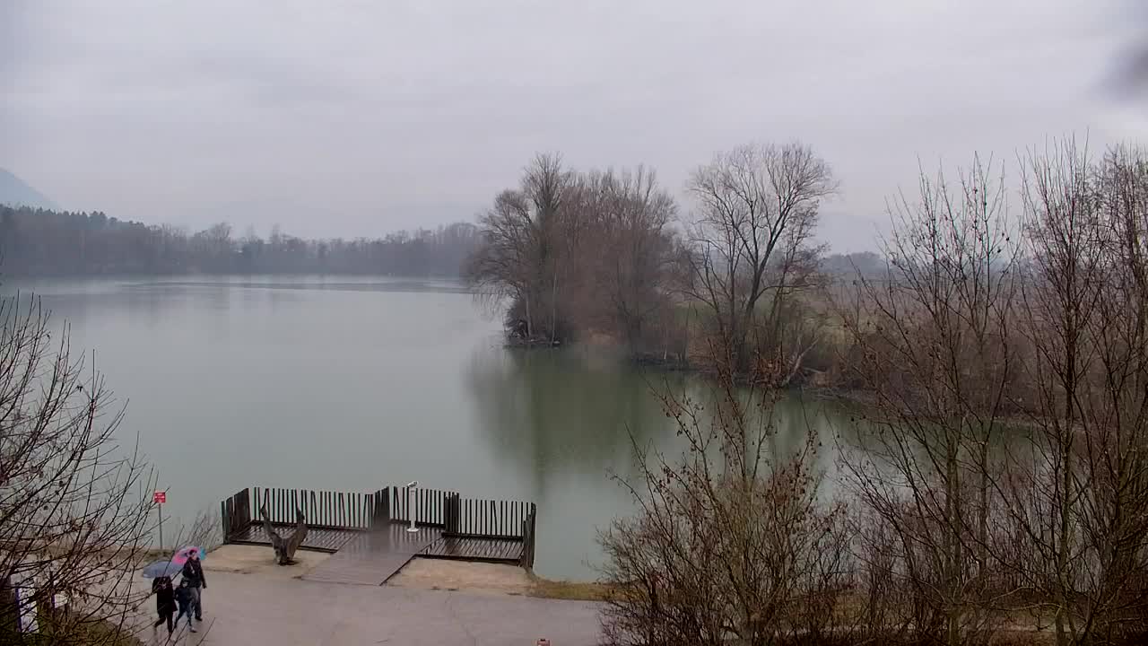 Webcam Ribnik Vrbje – Žalec