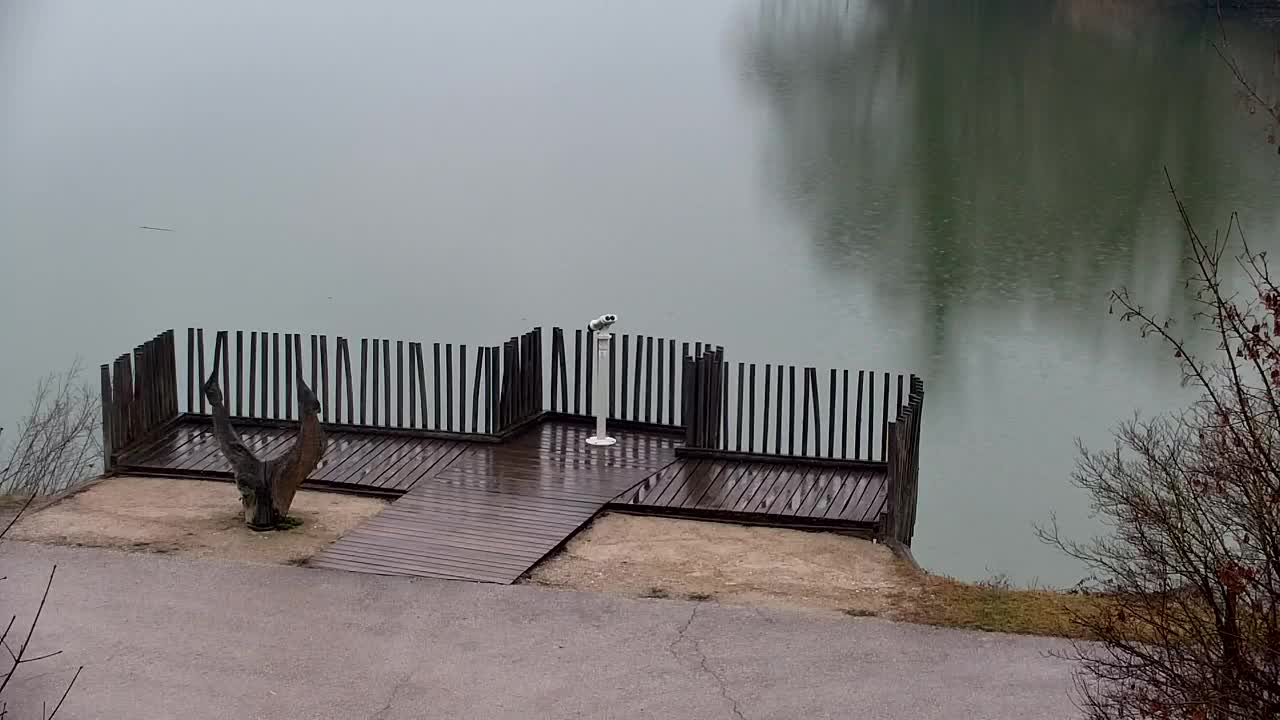 Webcam Ribnik Vrbje – Žalec