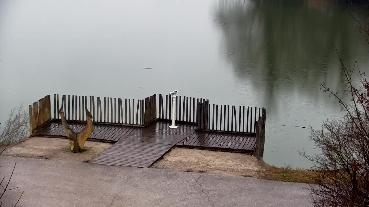 Webcam Ribnik Vrbje – Žalec