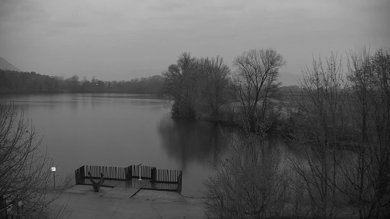 Web kamera Ribnik Vrbje – Žalec