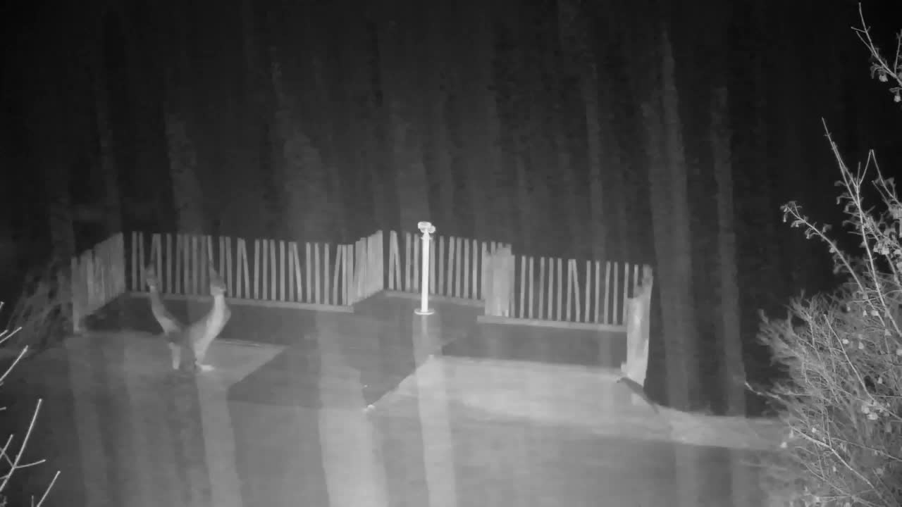 Webcam Ribnik Vrbje – Žalec