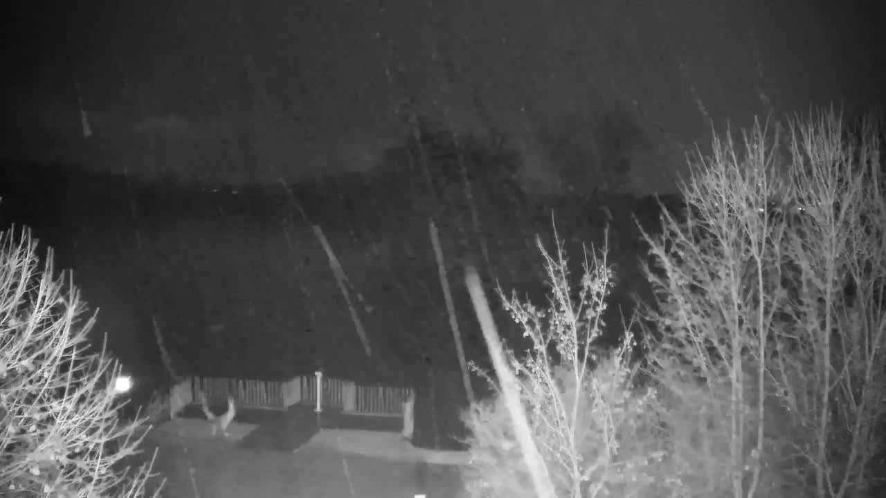 Webcam Ribnik Vrbje – Žalec